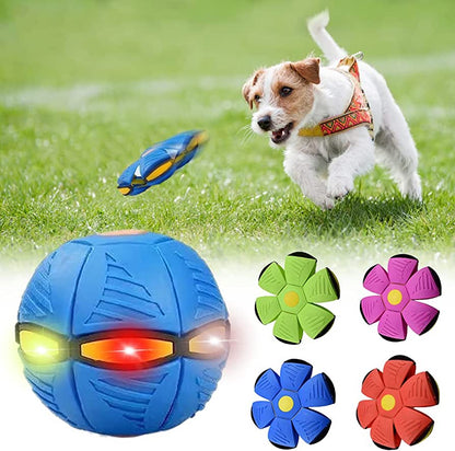 Tails of Joy Dog Frisbee