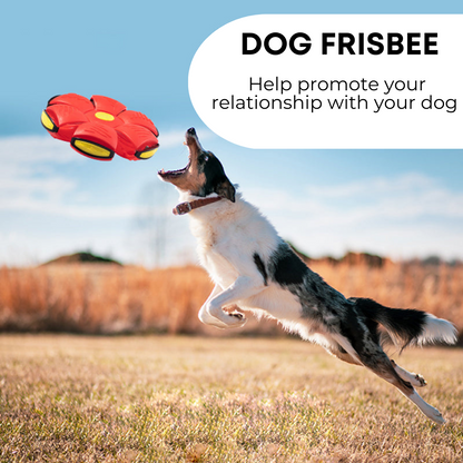 Tails of Joy Dog Frisbee