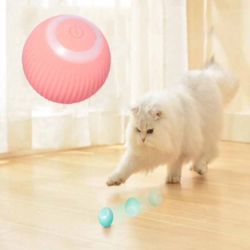 Tails of Joy Interactive Ball